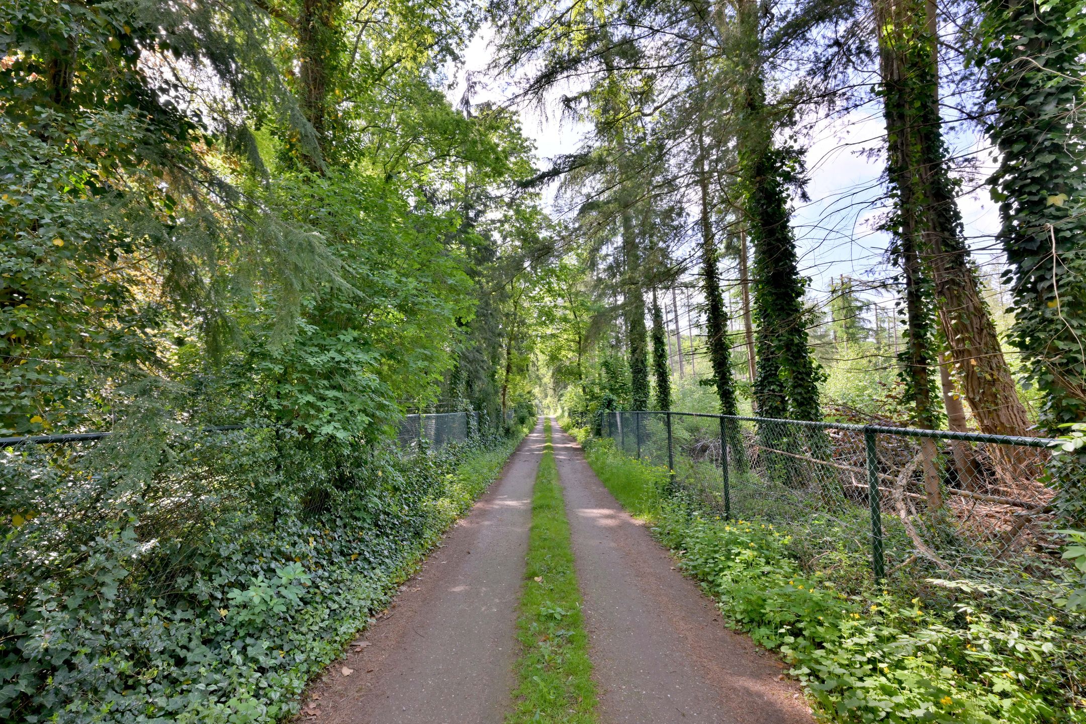 Foto 48 van Quatre Brasweg 1-B