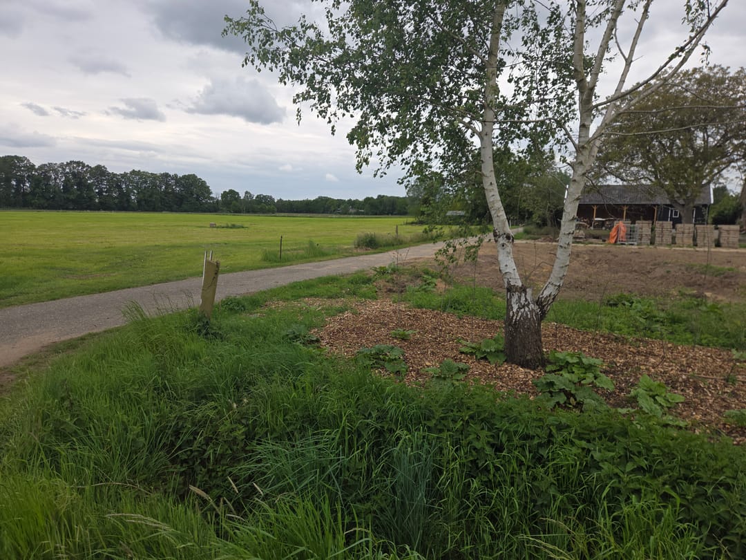 Foto 8 van Nijmansdijk bij nr 18