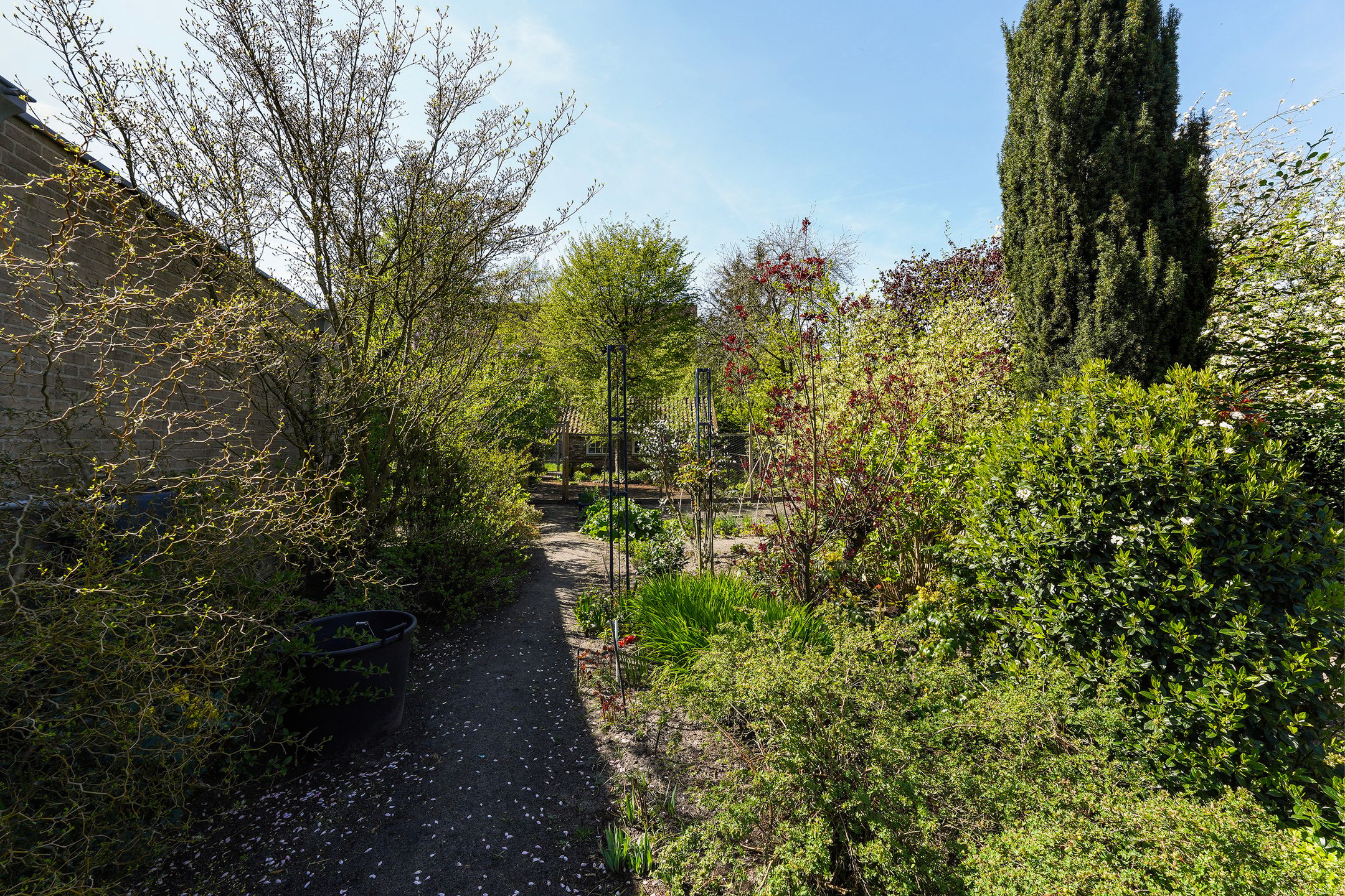 Foto 48 van Konijnshoolsedreef 2-B