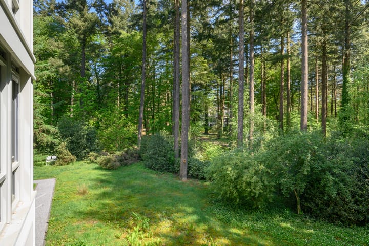 Foto 4 van Palisiumpark 71