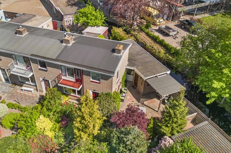 Zonnebloemstraat thumbnail