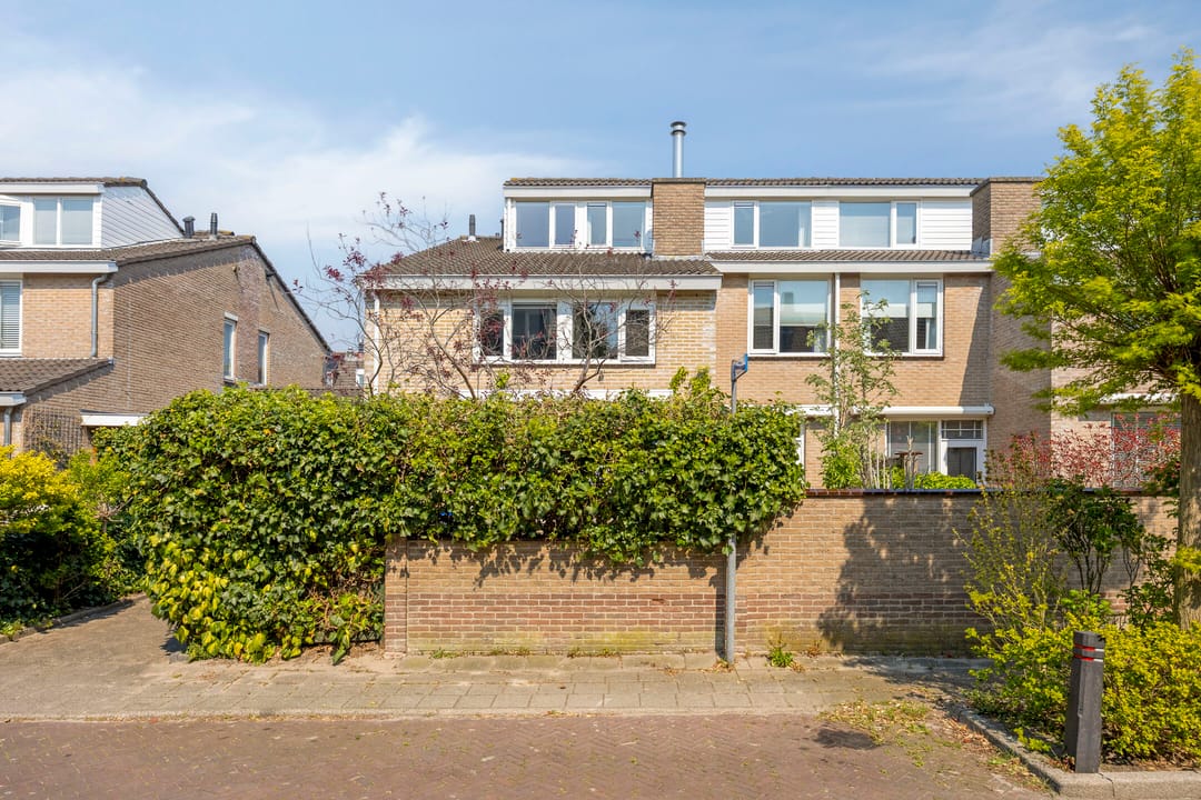 Foto 41 van Schapenweide 9