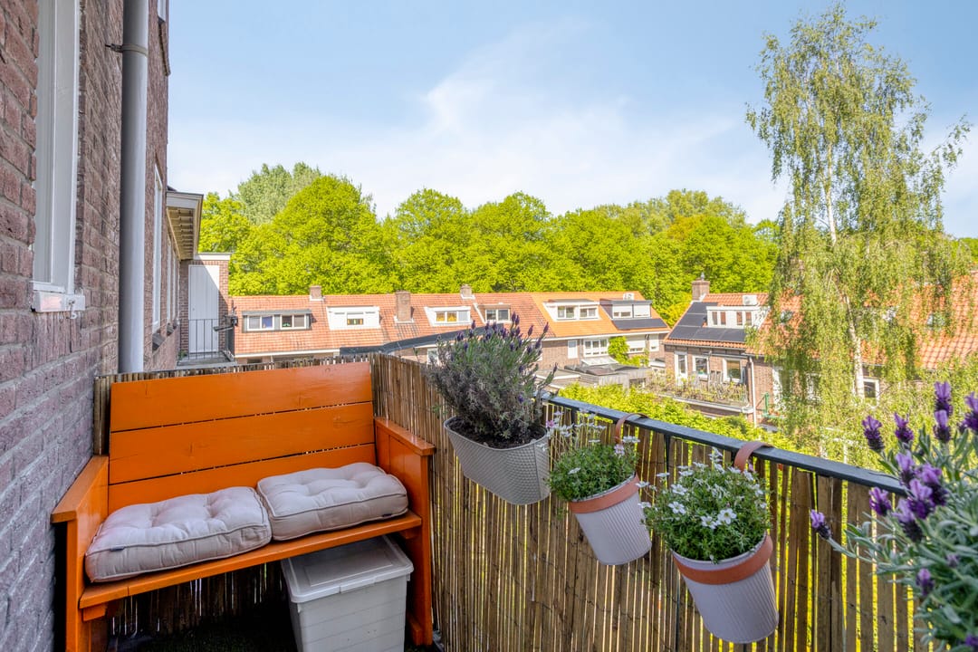 Photo 13 of Jacob van Ruysdaelstraat 45