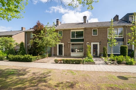 Pinksterbloemstraat thumbnail