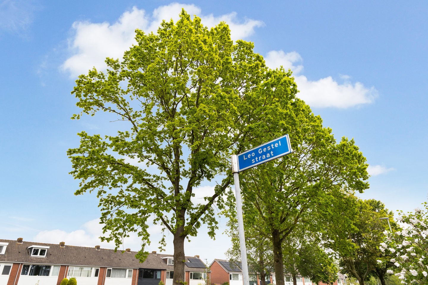 Foto 4 van Leo Gestelstraat 1