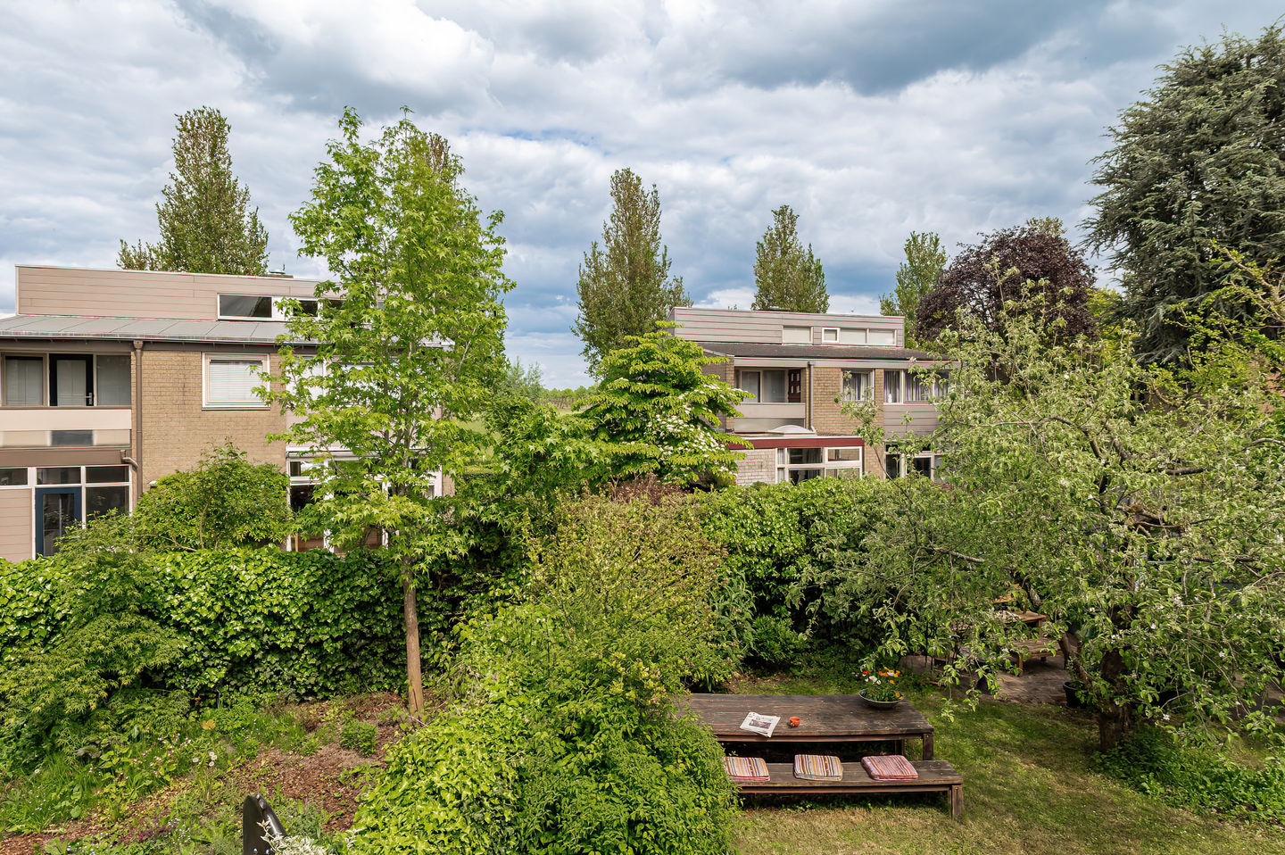 Photo 40 of Kerseboom 38
