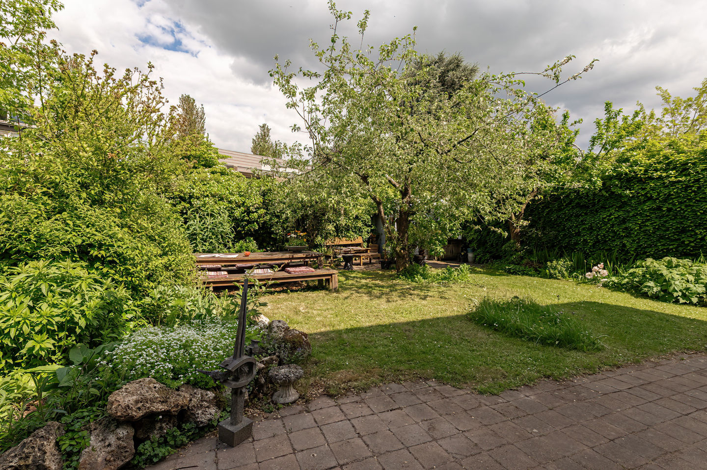 Photo 35 of Kerseboom 38