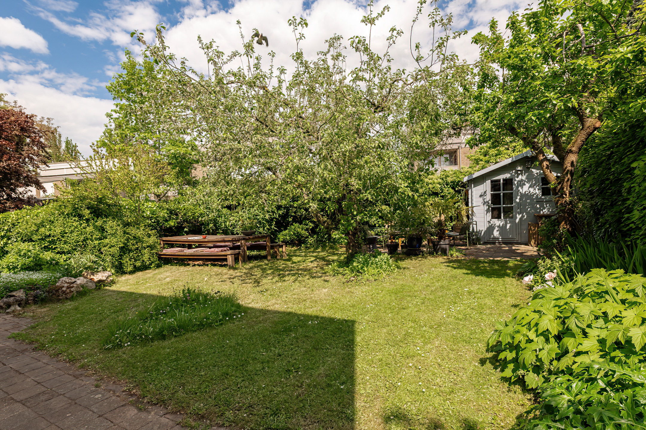 Photo 36 of Kerseboom 38