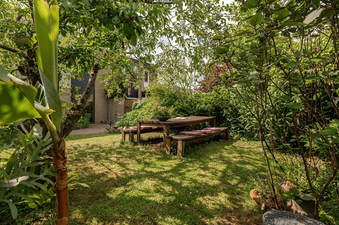 Photo 32 of Kerseboom 38