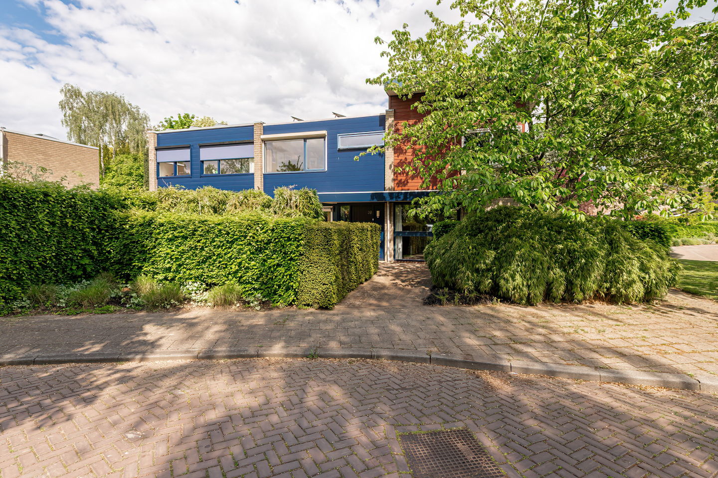 Photo 5 of Kerseboom 38