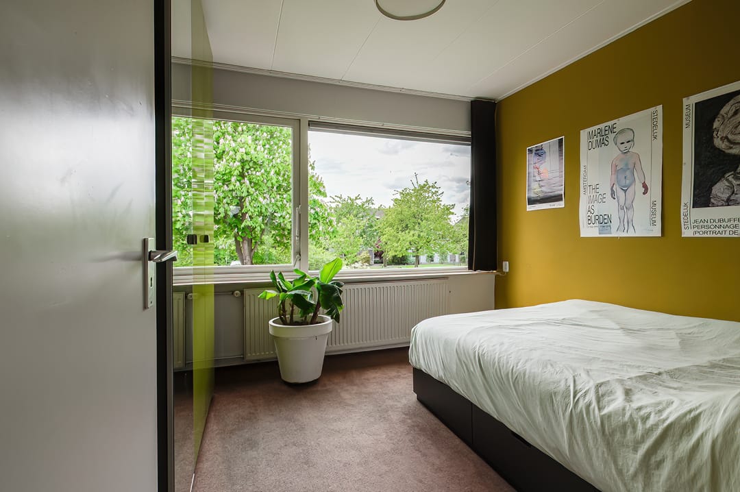 Photo 47 of Kerseboom 38