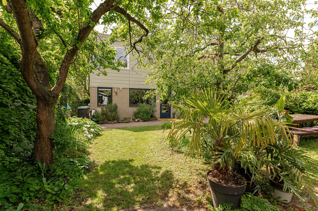 Photo 31 of Kerseboom 38