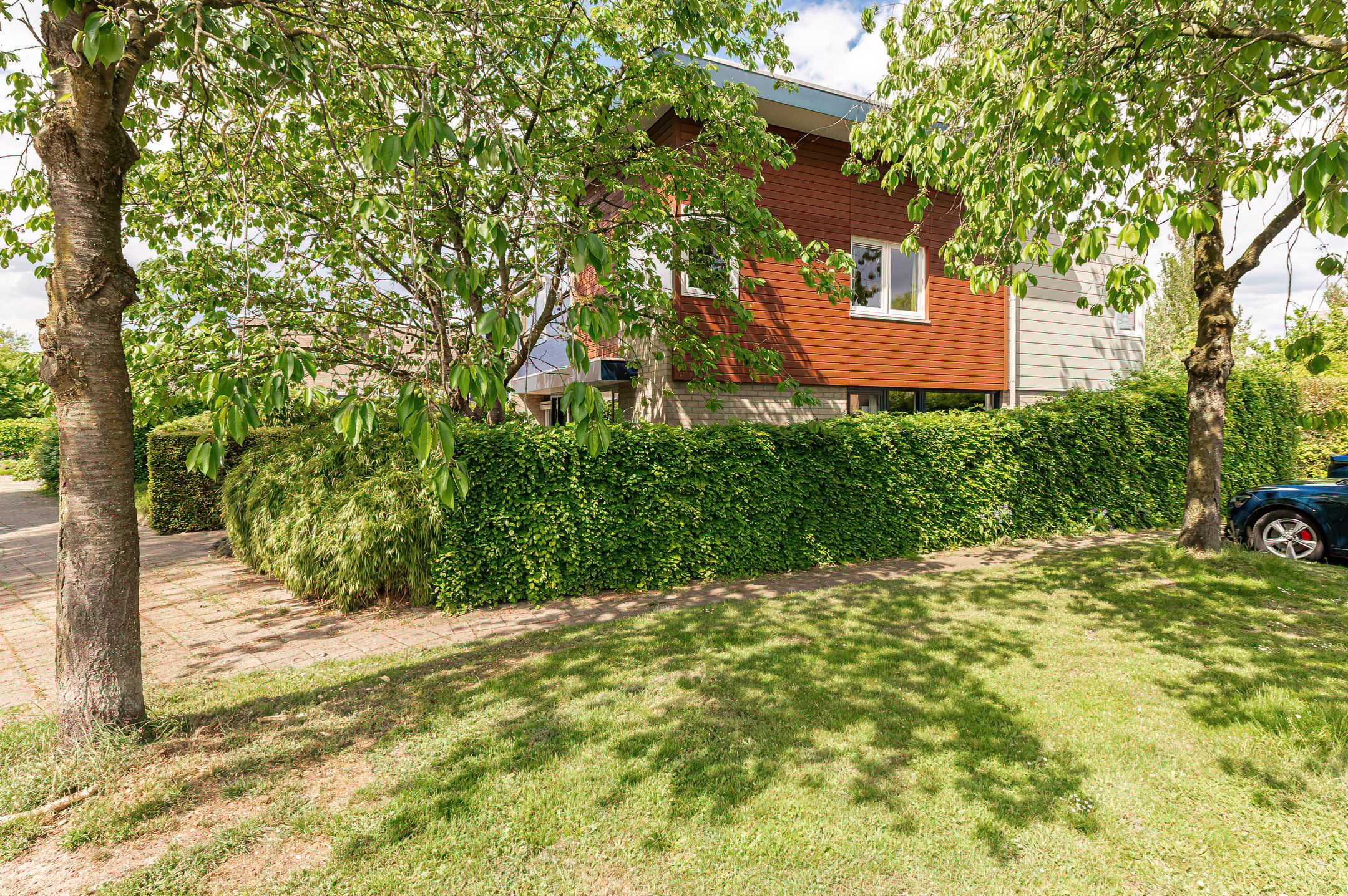 Photo 69 of Kerseboom 38