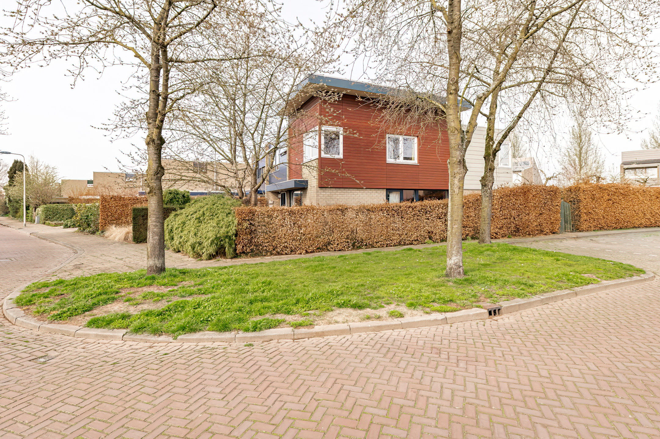 Photo 75 of Kerseboom 38