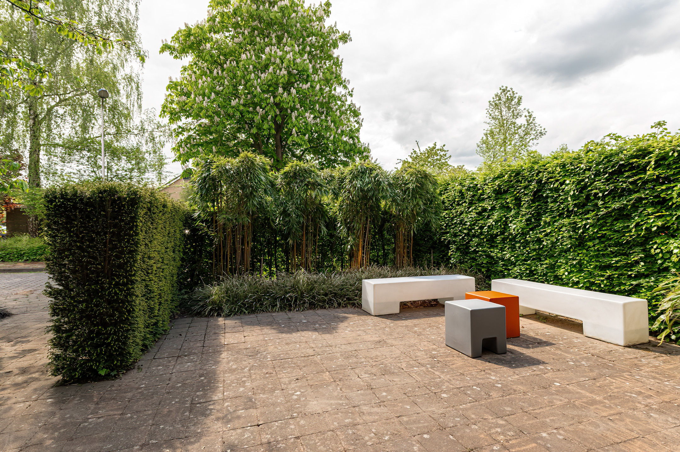 Photo 72 of Kerseboom 38