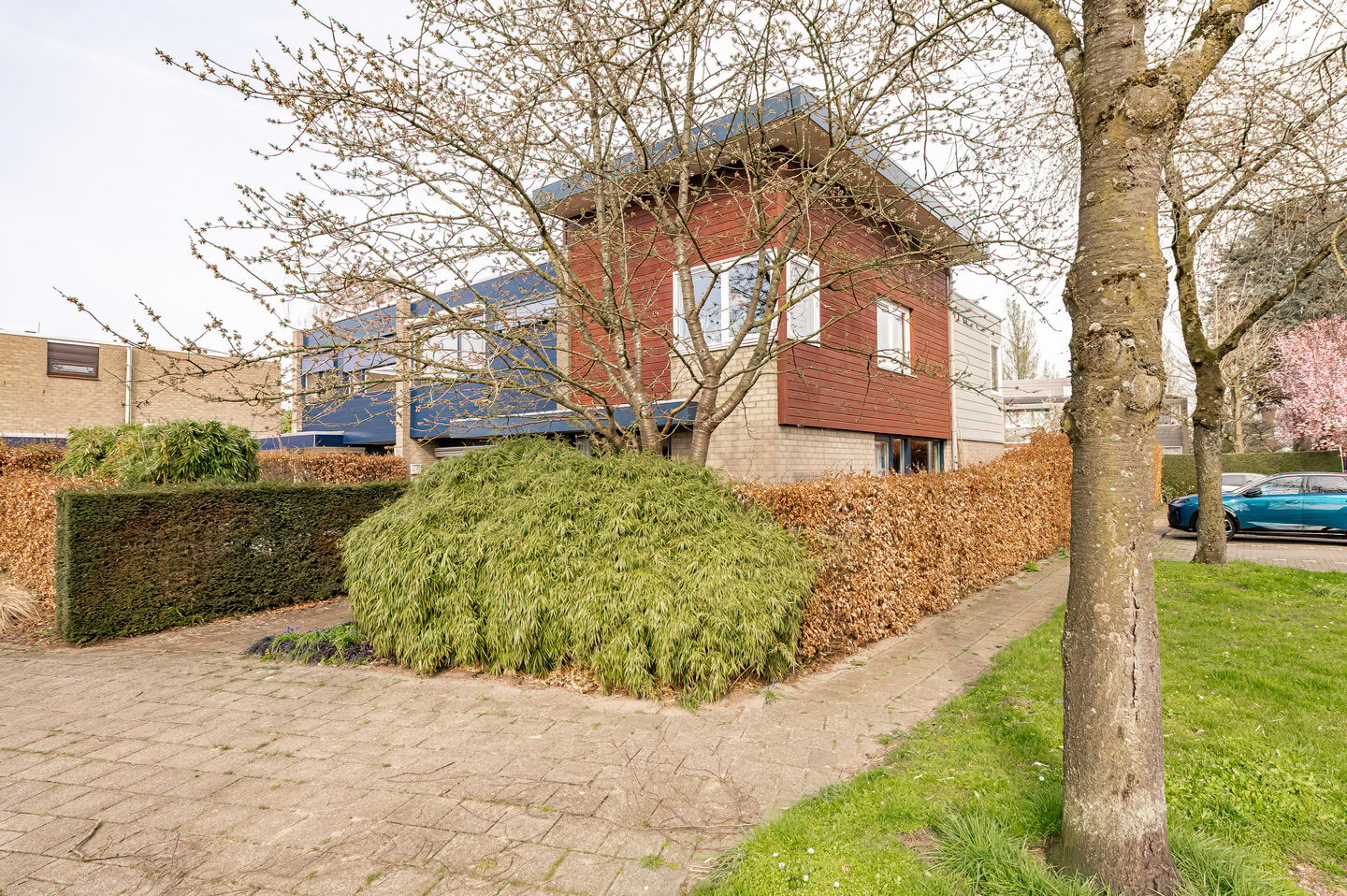 Photo 74 of Kerseboom 38