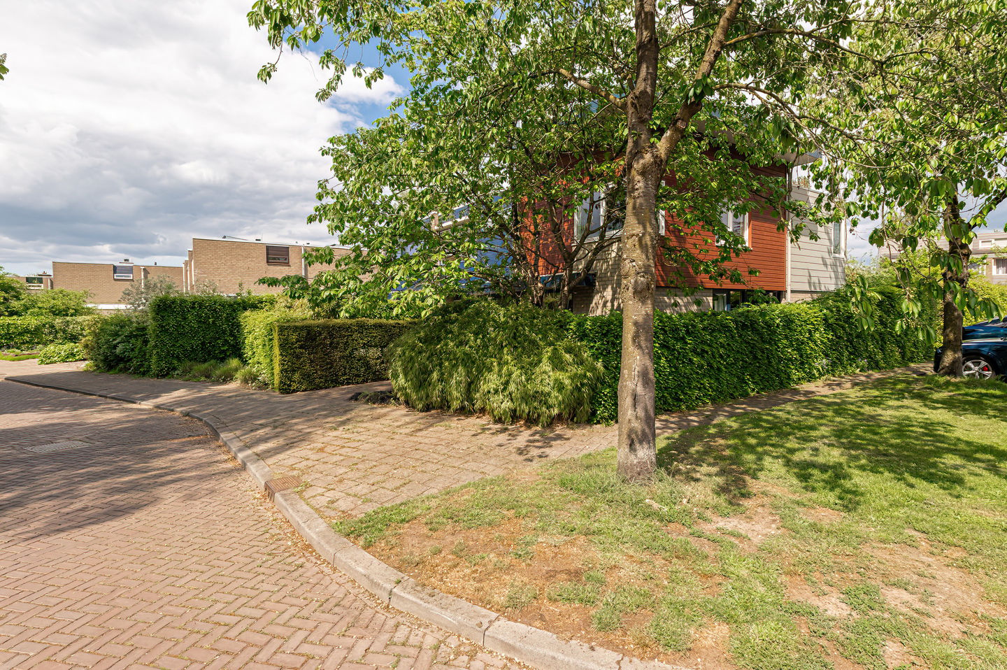 Photo 70 of Kerseboom 38