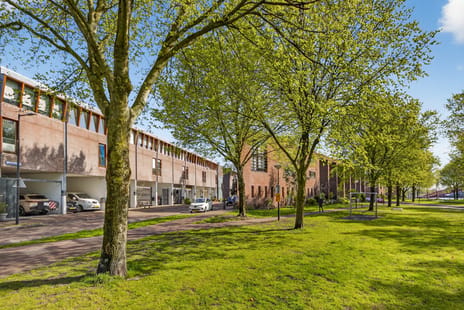 Seinwachterstraat thumbnail