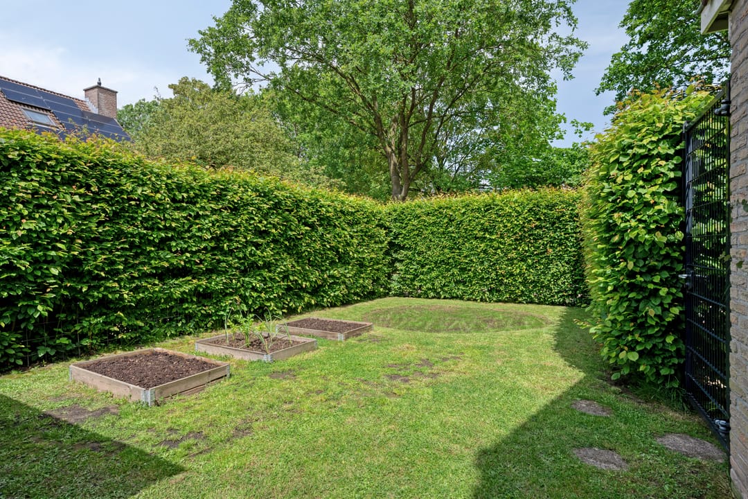 Photo 43 of Philip de Croystraat 11