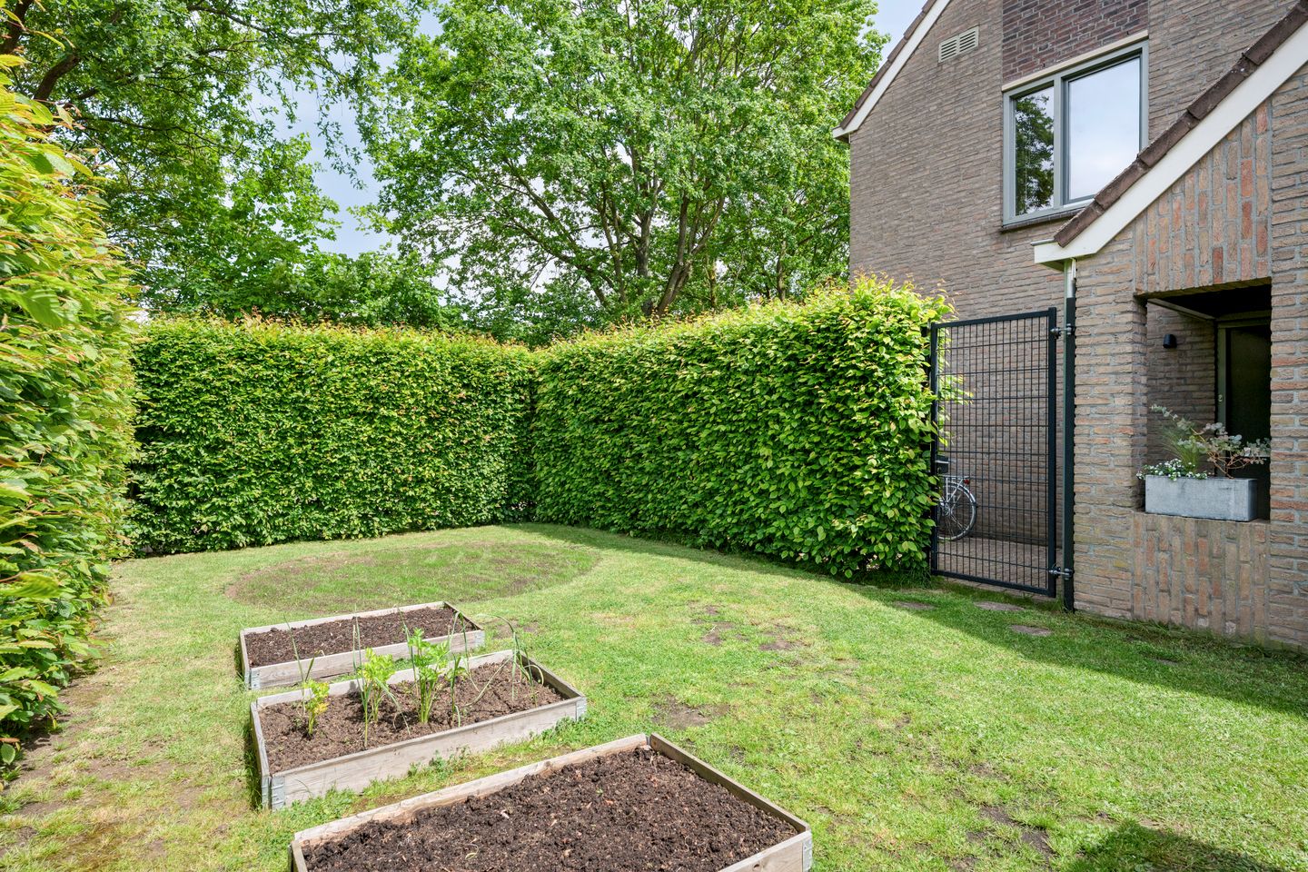 Photo 44 of Philip de Croystraat 11
