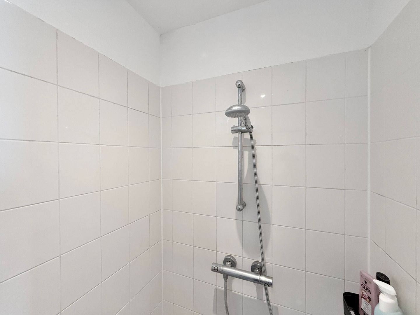 Foto 14 van Zilverschoonlaan 75