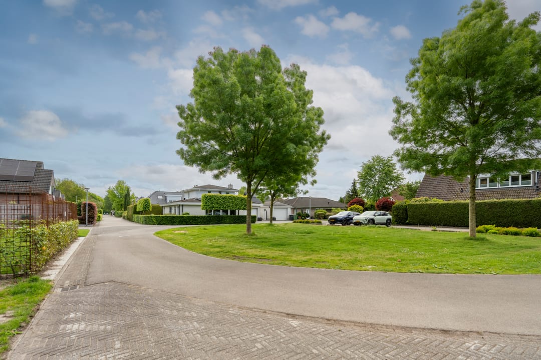 Photo 47 of Zilverreiger 16