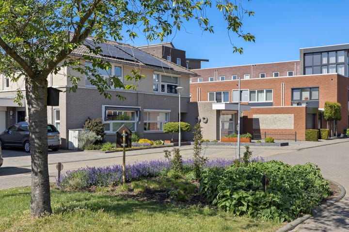 Foto 4 van Hoornbloem 2