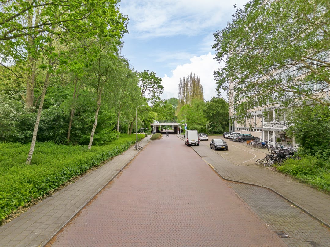 Photo 31 of Bos en Vaartlaan 98