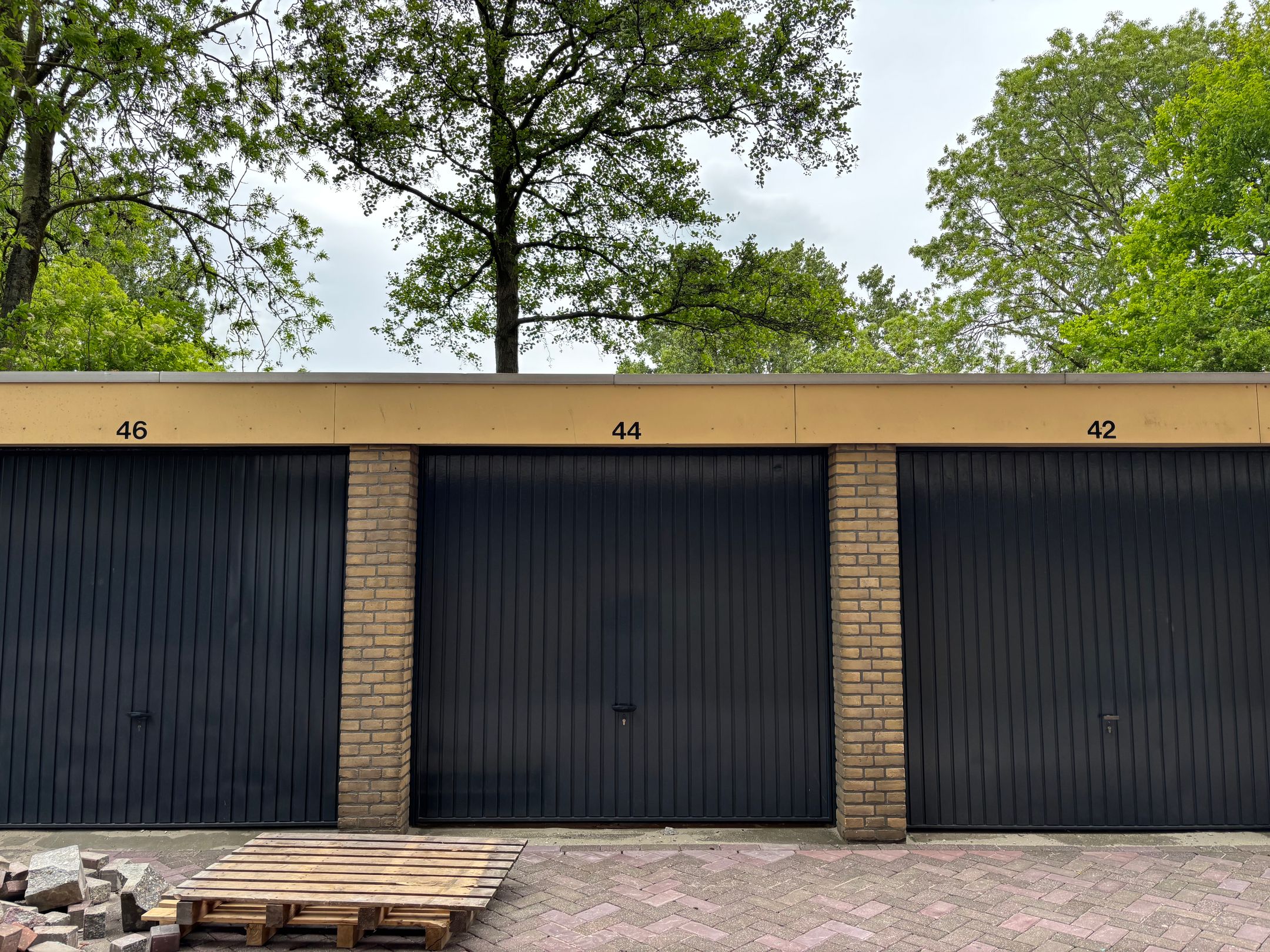 Lupinesingel  false