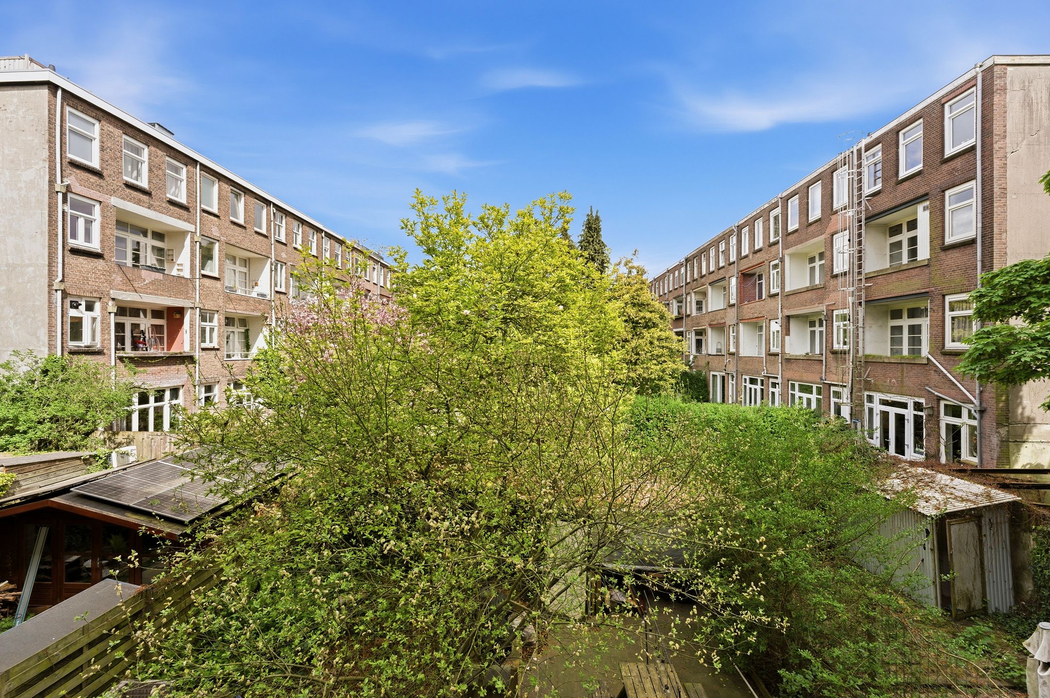Foto 18 van Groen van Prinstererstraat 24-B01