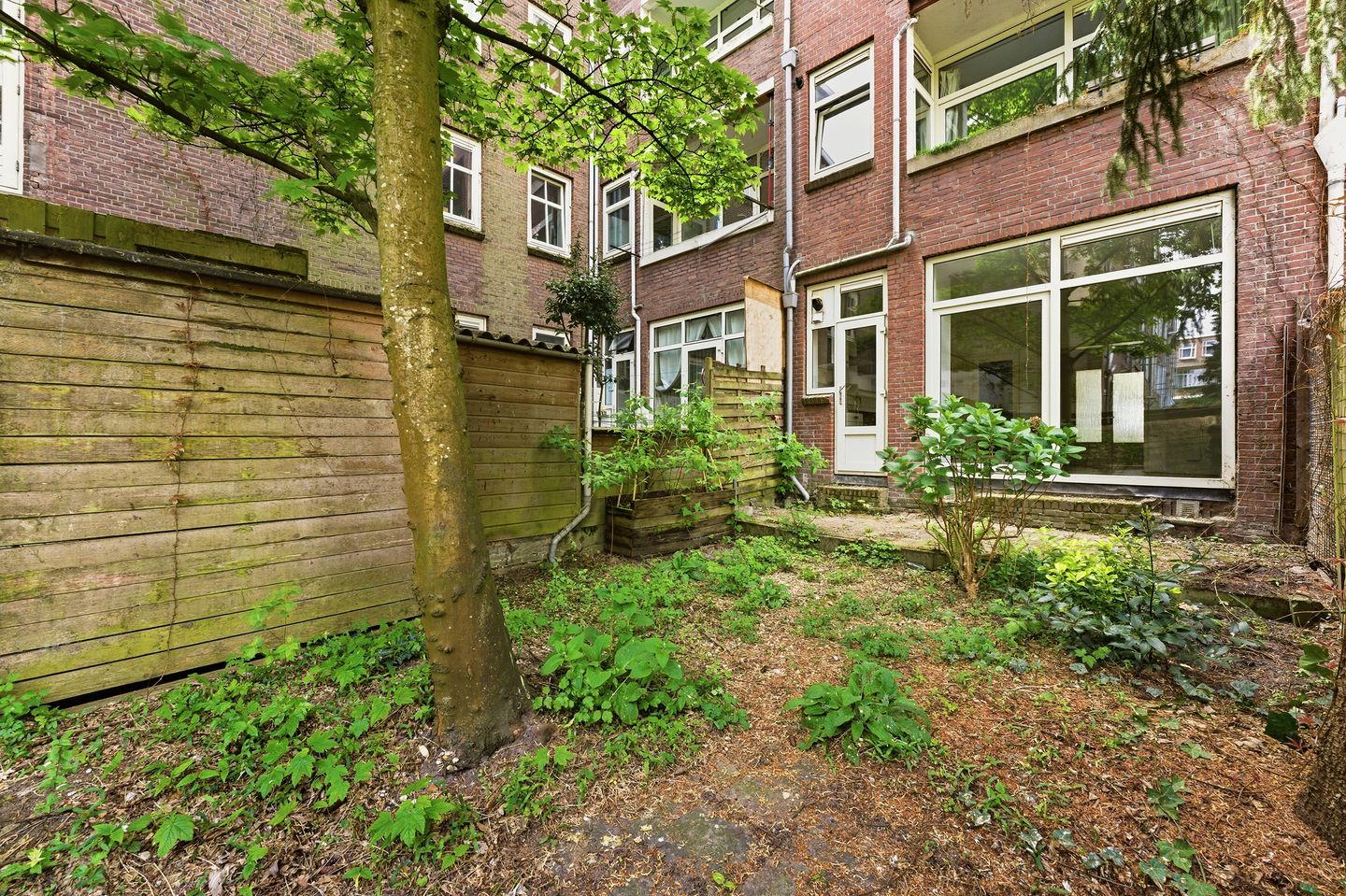 Foto 20 van Groen van Prinstererstraat 28-A