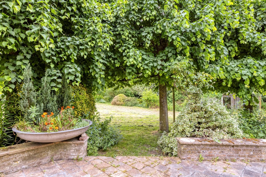 Foto 46 van Jacobadijk 15