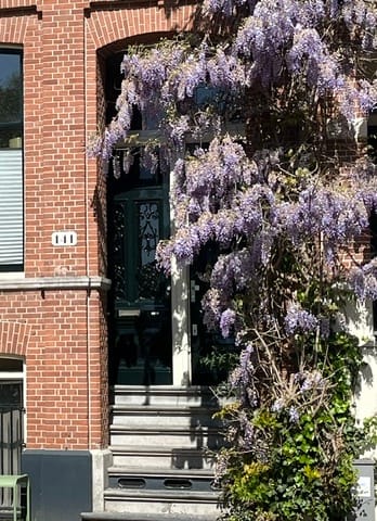 Foto 41 van Plantage Muidergracht 141-H