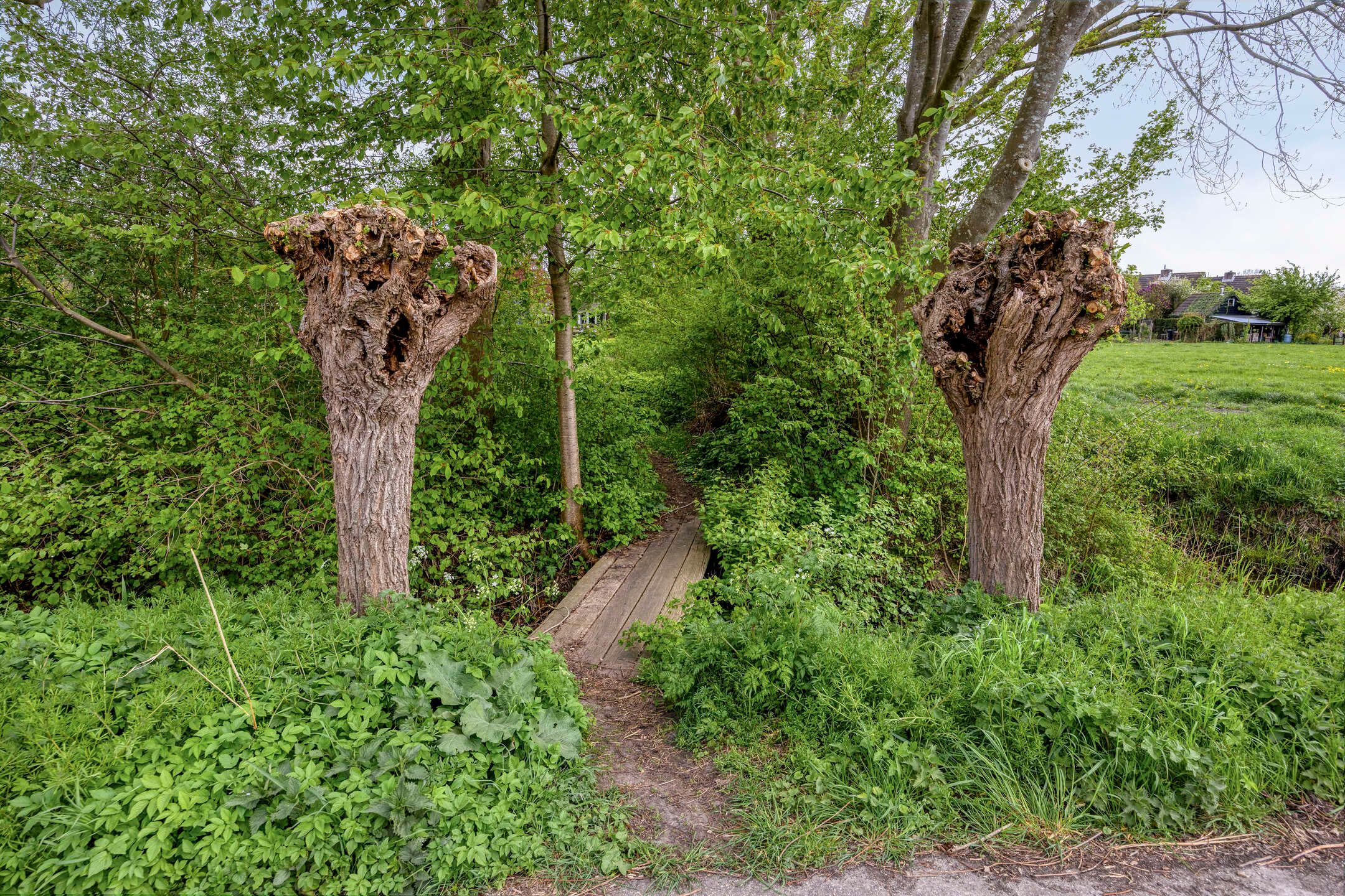 Photo 84 of Kuipershoek 18