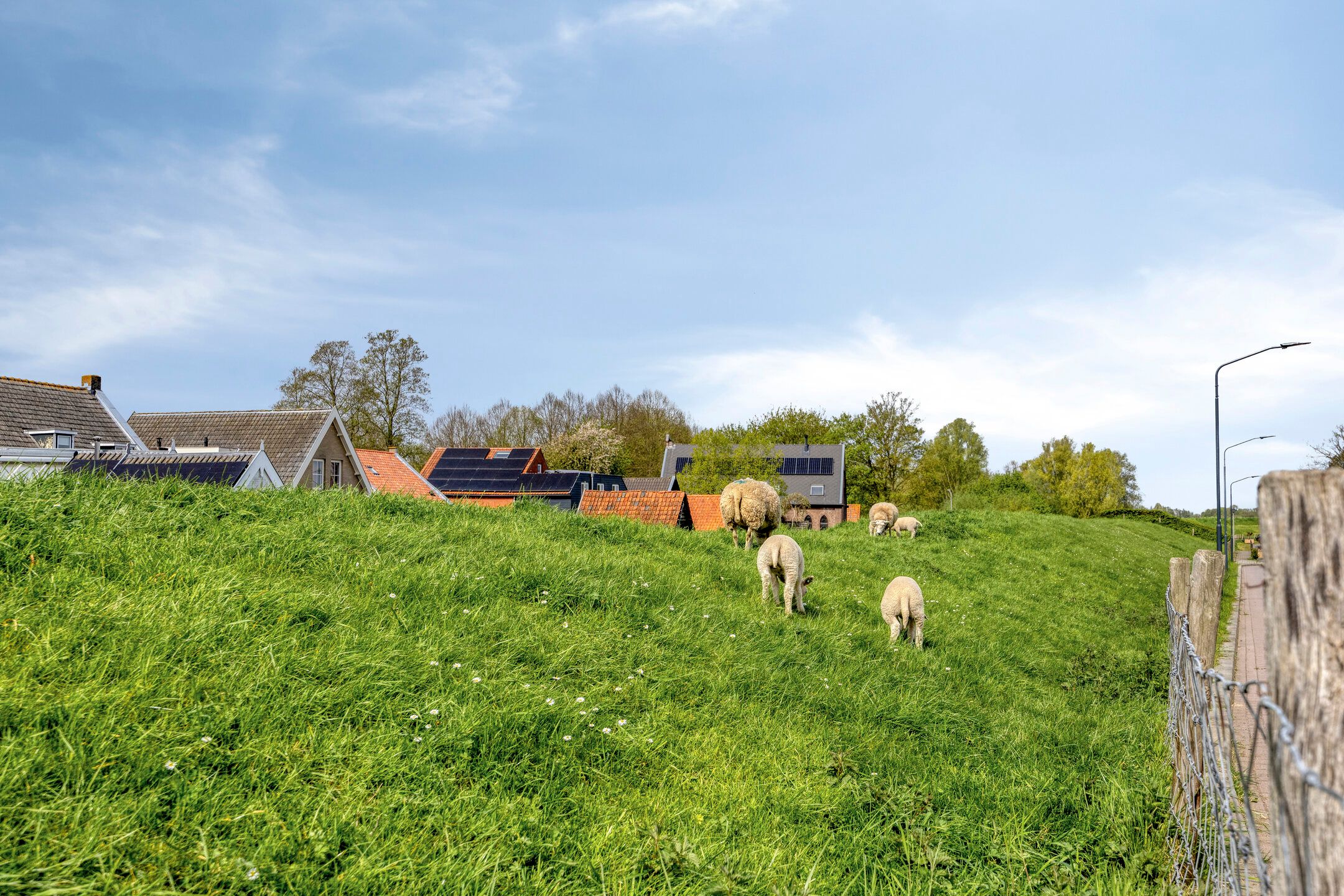 Photo 87 of Kuipershoek 18