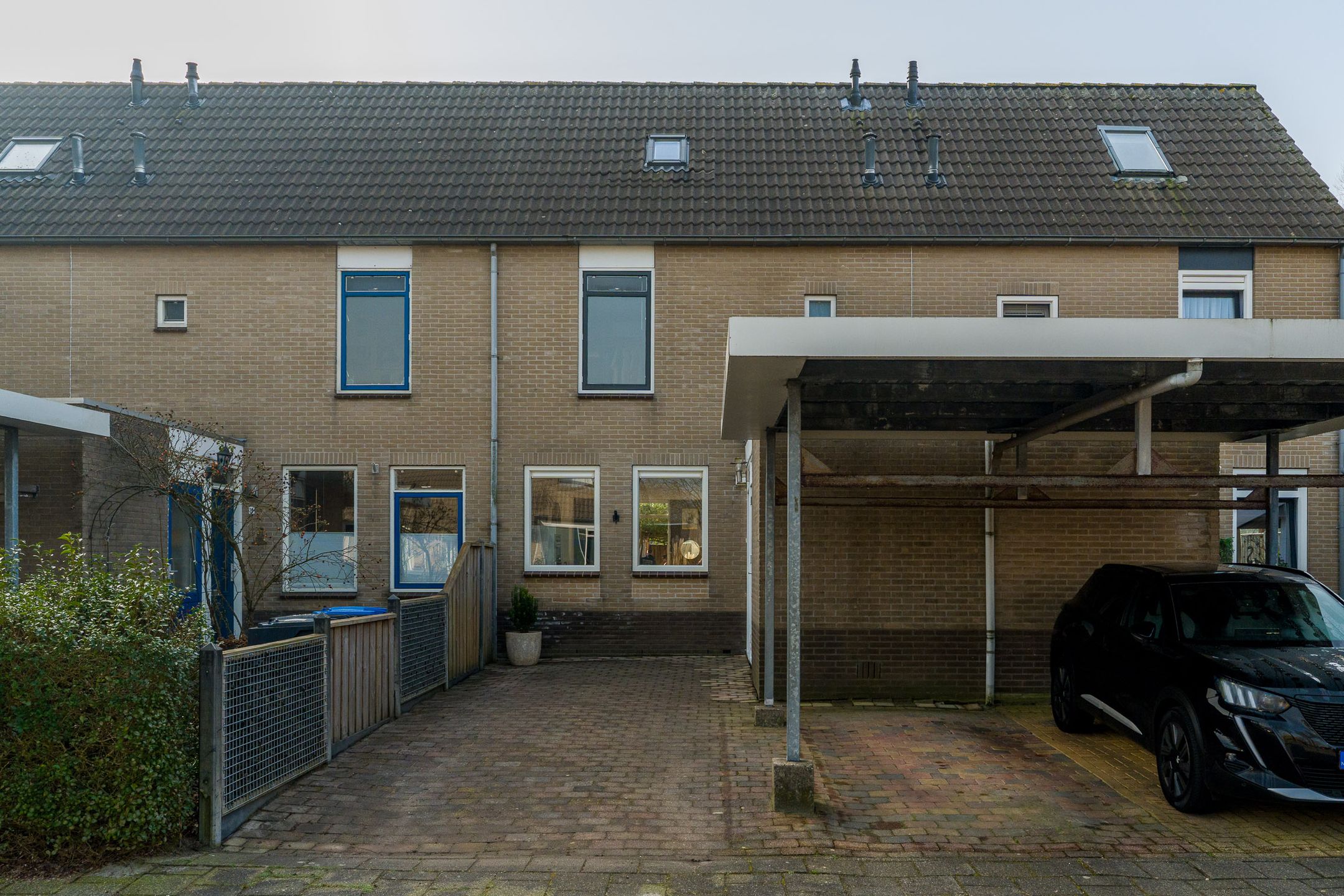 van Gheelstins 16