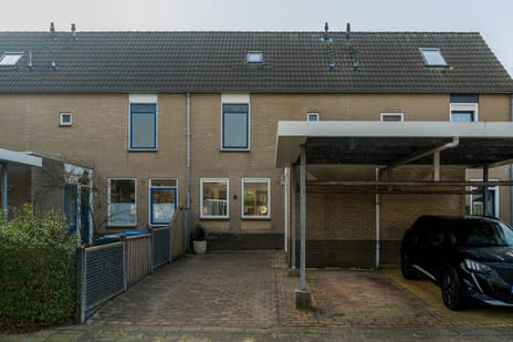 van Gheelstins thumbnail
