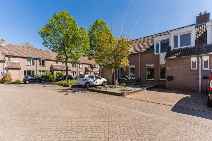 Foto 5 van De Doorn 51
