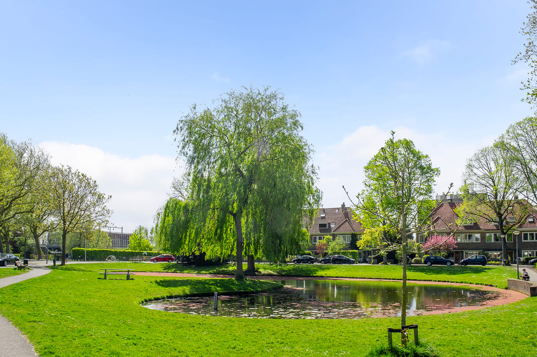Foto 46 van Prins Hendriklaan 21