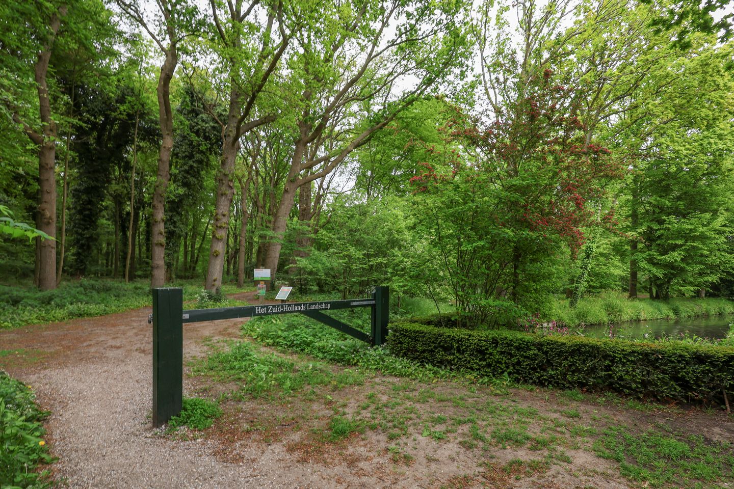 Photo 64 of Donselaer 10