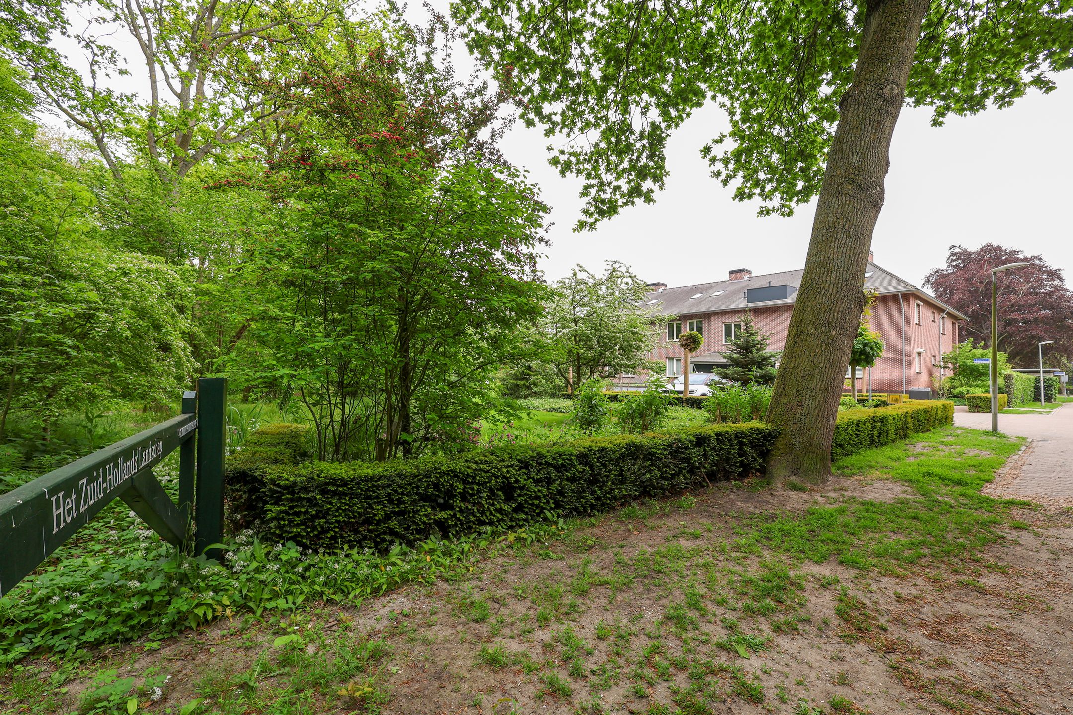 Photo 63 of Donselaer 10