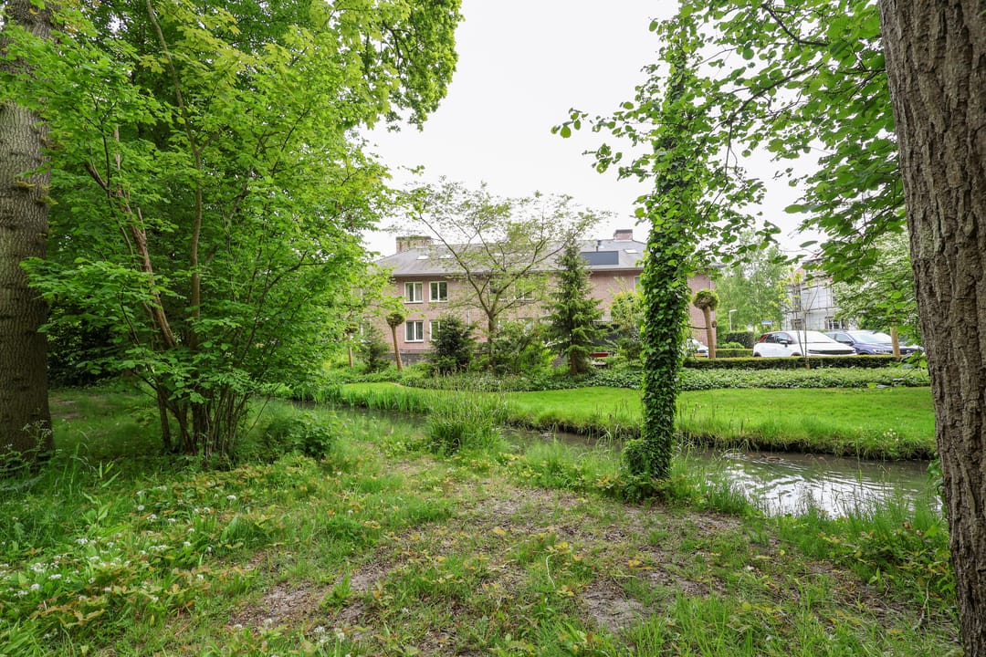 Photo 62 of Donselaer 10