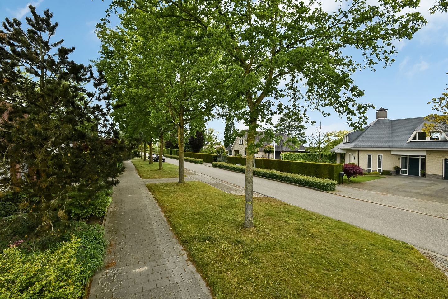 Photo 5 of De Wuurde 71