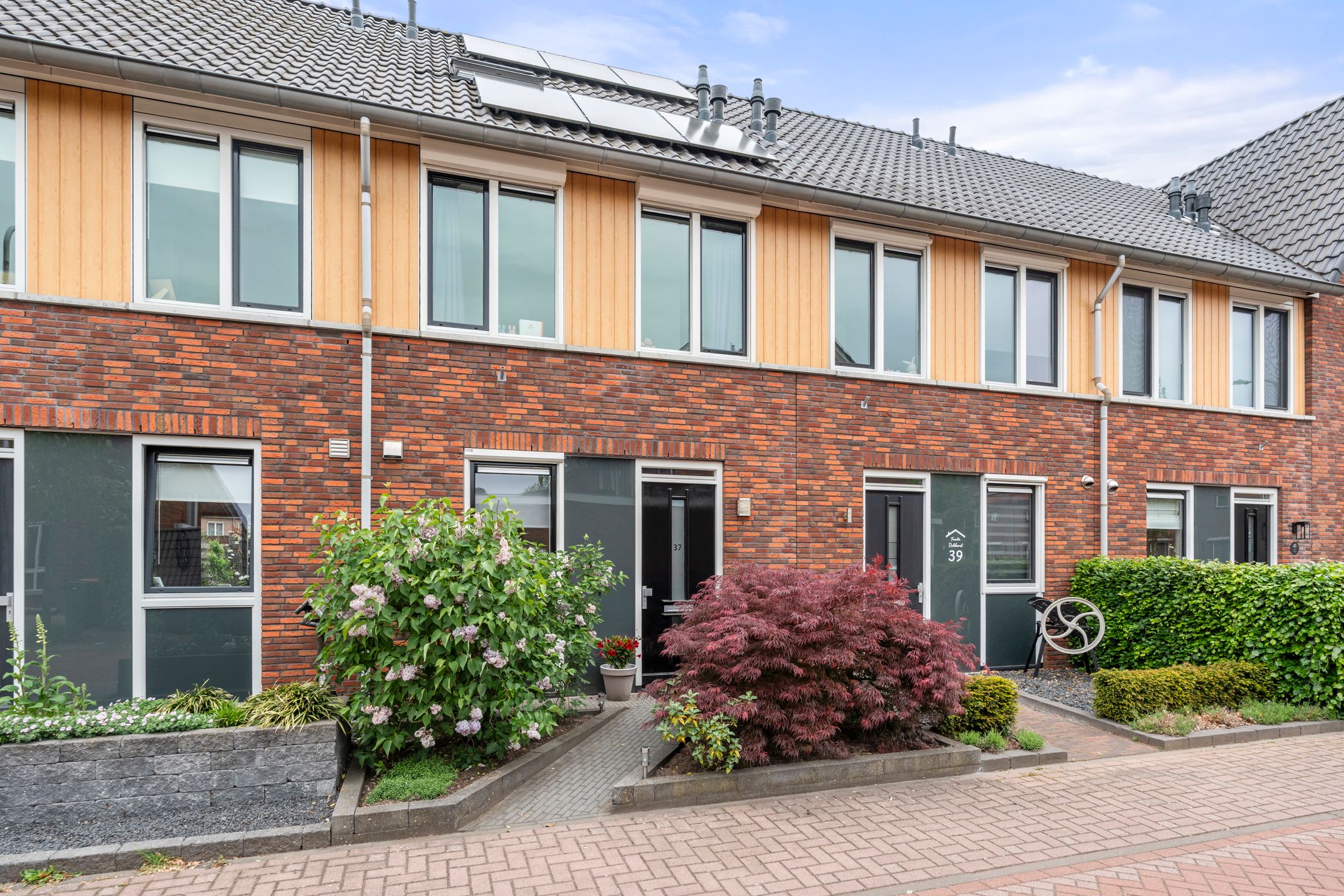 Van Hallstraat 37 