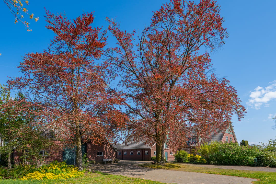 Photo 8 of Ratumseweg 9
