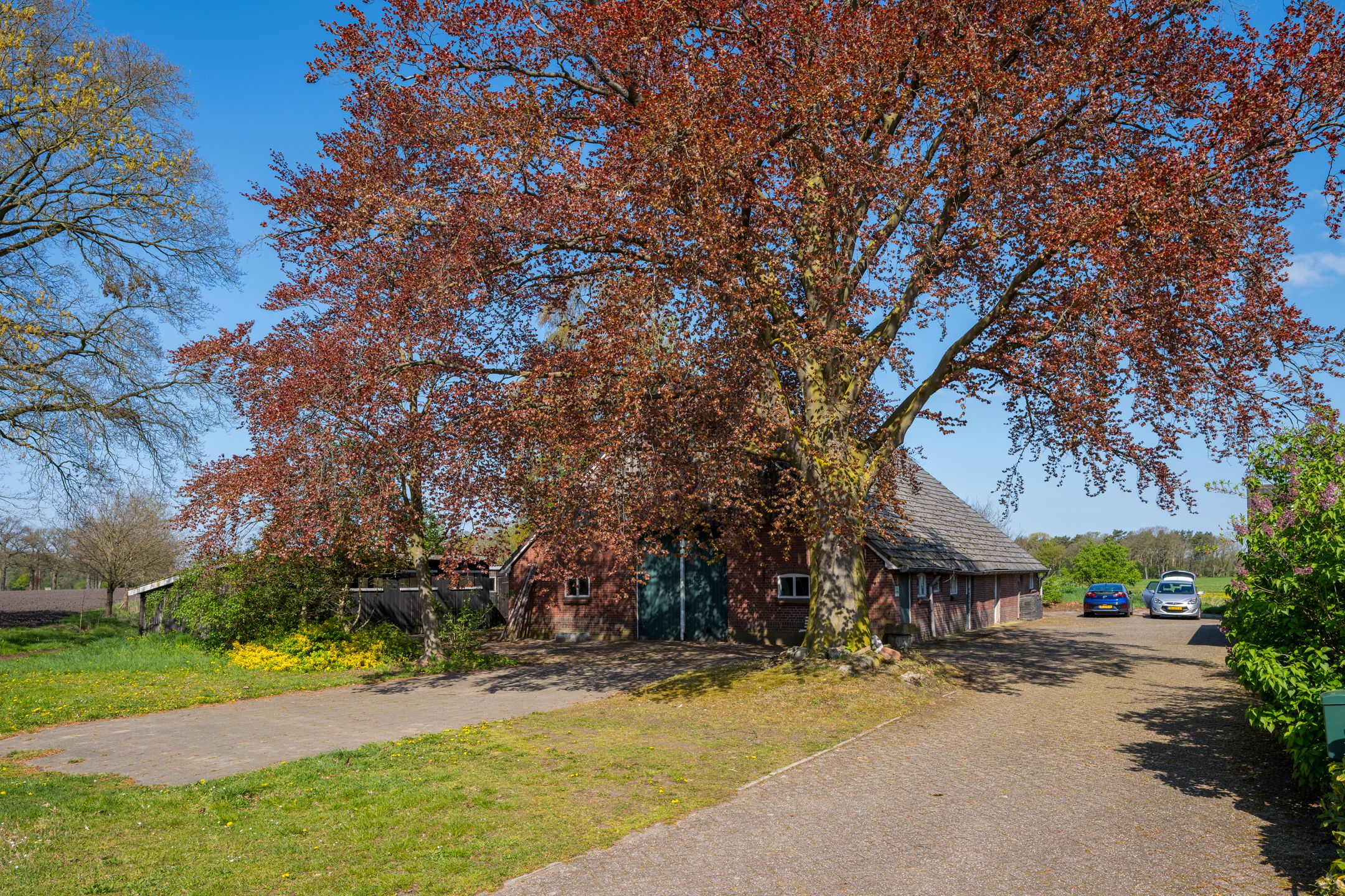 Photo 3 of Ratumseweg 9