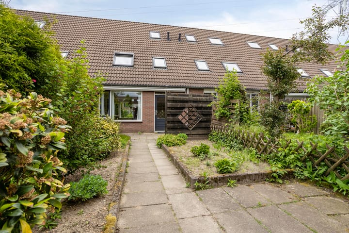 Foto 2 van Zebravink 13