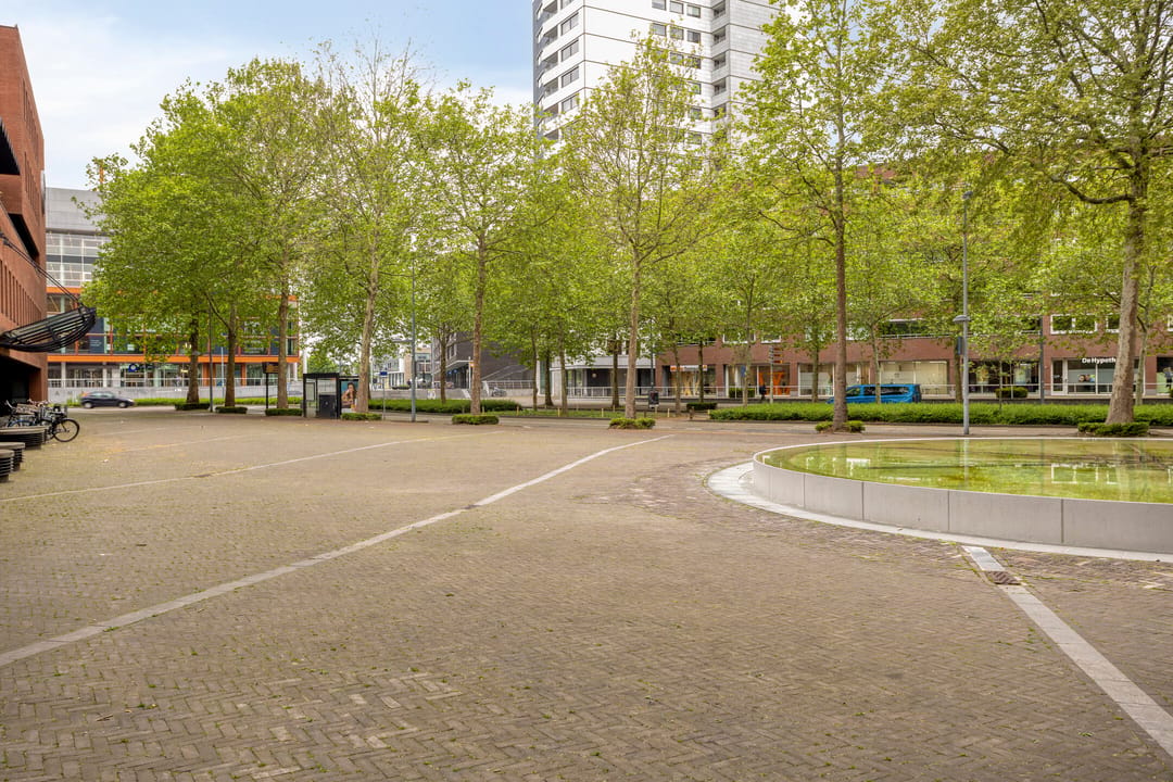 Foto 46 van Sphinxlunet 62-E