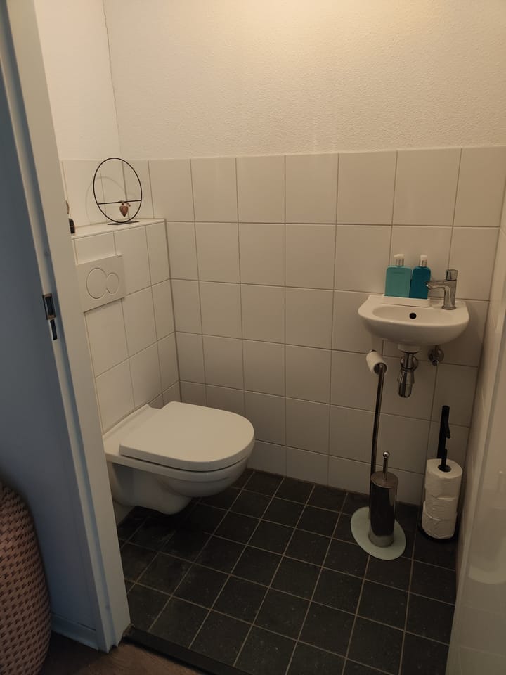 Foto 5 van Poolsestraat 2-201