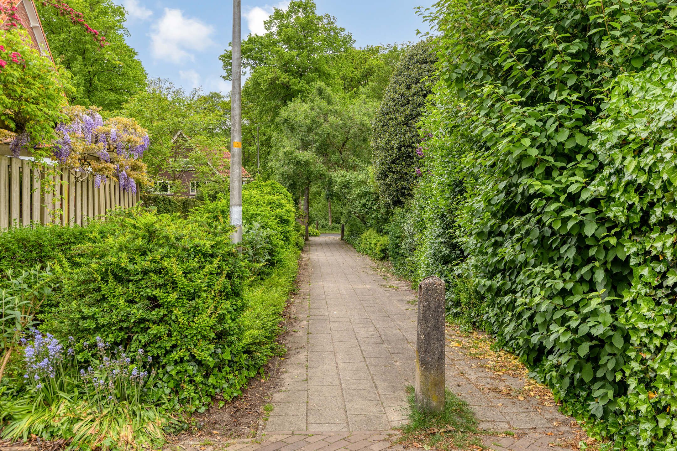 Photo 51 of Borgerinkstraat 2